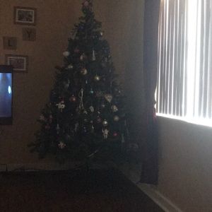 Meet your Posher, Ellen